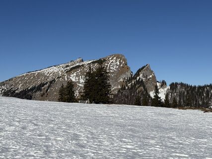 Fotografija s spletne strani Natur_erleben_dg na poti