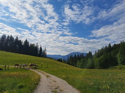 Fotografija s spletne strani Daniel Wagner na poti
