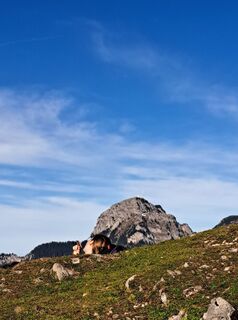 Foto von dummy125 entlang der Tour