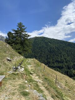 Foto von Jana Schrøder entlang der Tour