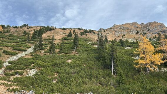 Photo de Andreas berdev le long du parcours