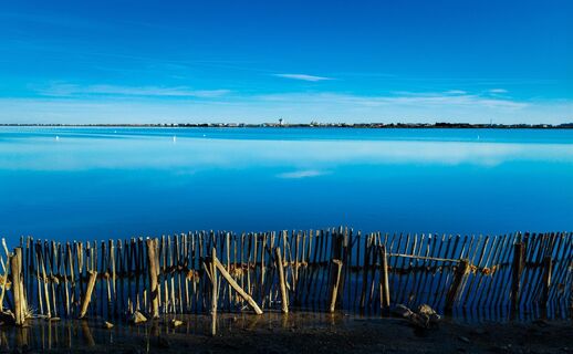 Naturreservat_des_Mejean_-_EXKLUSIV_ADT34_E_Brendle_1