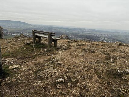 Foto von Wanderelch entlang der Tour
