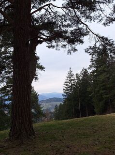 Photo de Mimi le long du parcours