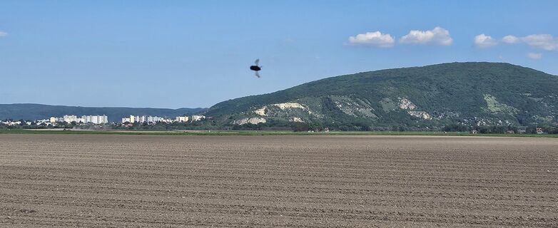 Fotografia z Tanjasusanna na trase