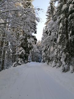 Foto de Dagmar Hofer a lo largo del recorrido