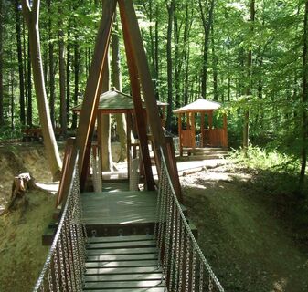 Naturerlebnis Wald Meerhof - Hängebrücke