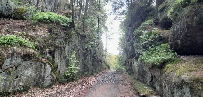 Fotografija s spletne strani Steffen Evi Sacher na poti