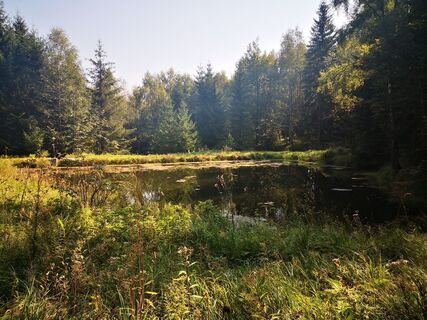 Foto von Denis Trapp 1 entlang der Tour