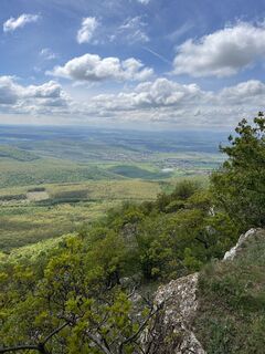 Fotografia z Levente Németh na trase
