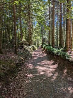 Foto von Maurer Silvia entlang der Tour