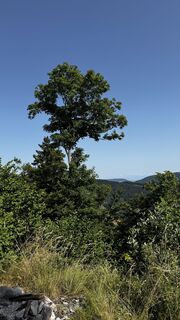 Fotografia z Capricorn na trase