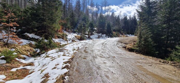 Foto de Utassy Tóth Johanna a lo largo del recorrido
