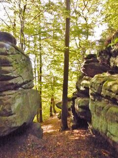 Die Jägersteine im Reinhäuser Wald