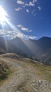 Fotografija s spletne strani Dominique Vlach na poti