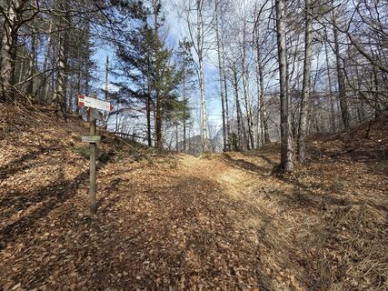 Fotografija s spletne strani Florian Dürnegger na poti
