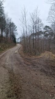 Fotografia z Claudia Maurer na trase