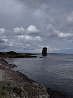 Foto de noddy suter a lo largo del recorrido