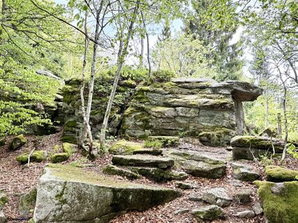 Photo de Norbert Herbig le long du parcours