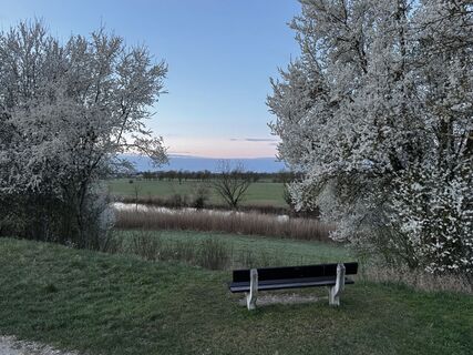Fotografia z Schaali na trase