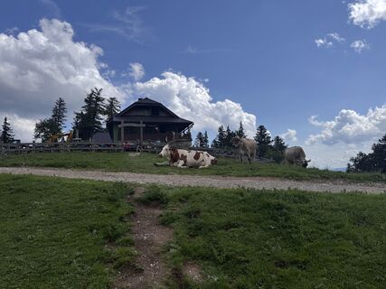 Foto von Anne Kathrin Winter entlang der Tour