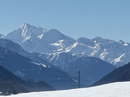 Foto von Zengaffinen Erwin entlang der Tour