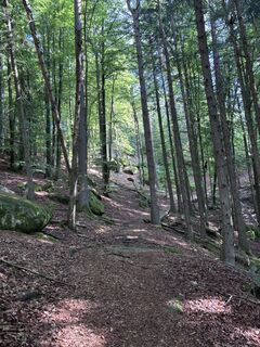 Photo de Johannes Schäufl le long du parcours