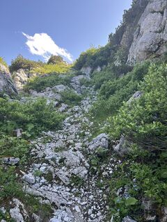 Foto von Elena P. entlang der Tour
