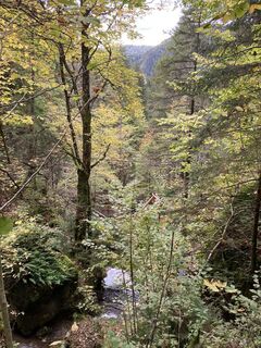 Photo de Stefan Fraberger le long du parcours