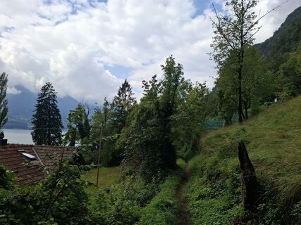 Photo de Michael Putz le long du parcours