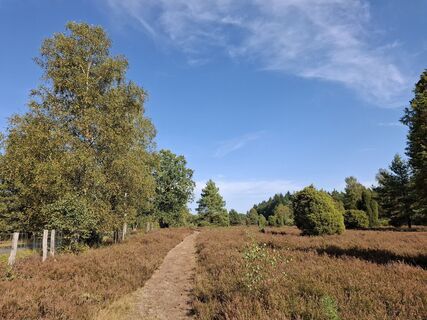 Zdjęcie z nordbergschnecke wzdłuż trasy
