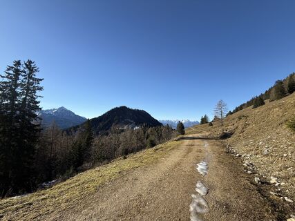 Foto von Natur_erleben_dg entlang der Tour