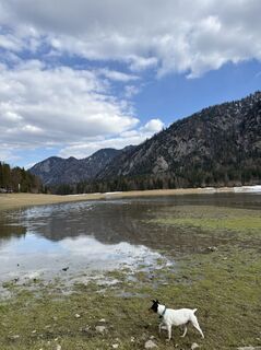 Foto von Moonlight13 entlang der Tour