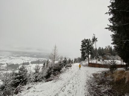 Winterwanderung zum Kulmgipfel