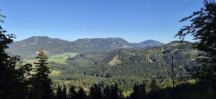 Photo de Alois Pauckner le long du parcours