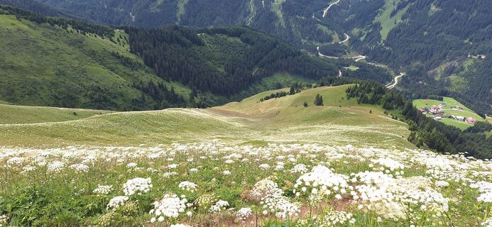 Fotografie de la Vincent Kolkman de-a lungul turului