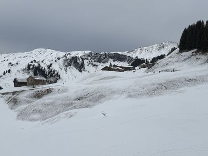 Photo de Diana Spreer le long du parcours