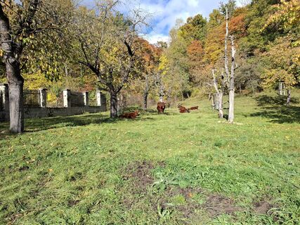Foto von Wollomator entlang der Tour