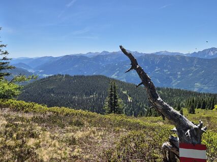 Foto von josef duermoser entlang der Tour