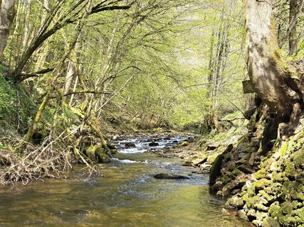 Foto de MRDL a lo largo del recorrido