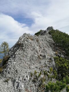 Foto von Dagmar Hofer entlang der Tour