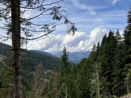 Foto fra andrea calabria undervejs på turen