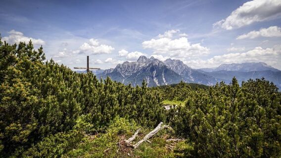 Kirchberg und Schafelberg (c) Hartmut Tamcke (4).jpg