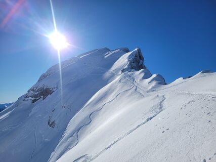 Photo de schenkeli le long du parcours