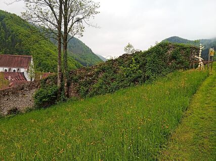 Foto de Wanderkatze a lo largo del recorrido