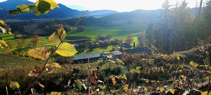 Foto von Schoby entlang der Tour