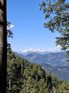 Foto von Jožica Pufek entlang der Tour