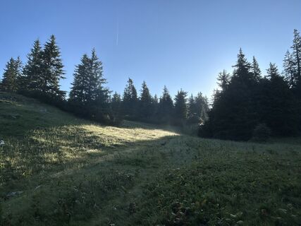 Foto de Stefan Ruhringer a lo largo del recorrido