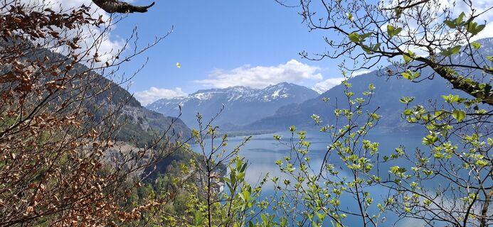 Fotografia z tinu55 na trase