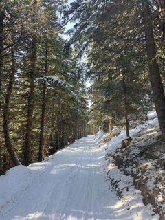 Foto de Amiks a lo largo del recorrido